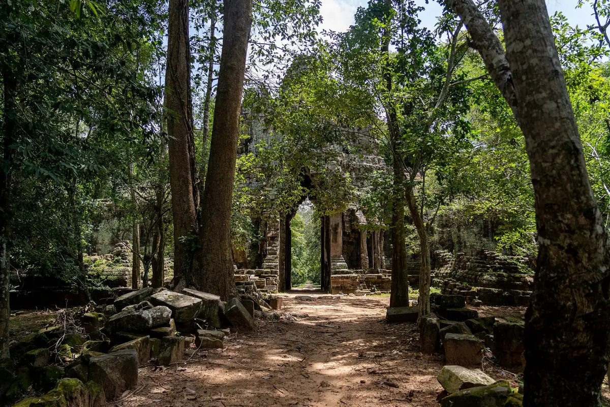 Forest path leading to a ruined gate of Angkor Thom