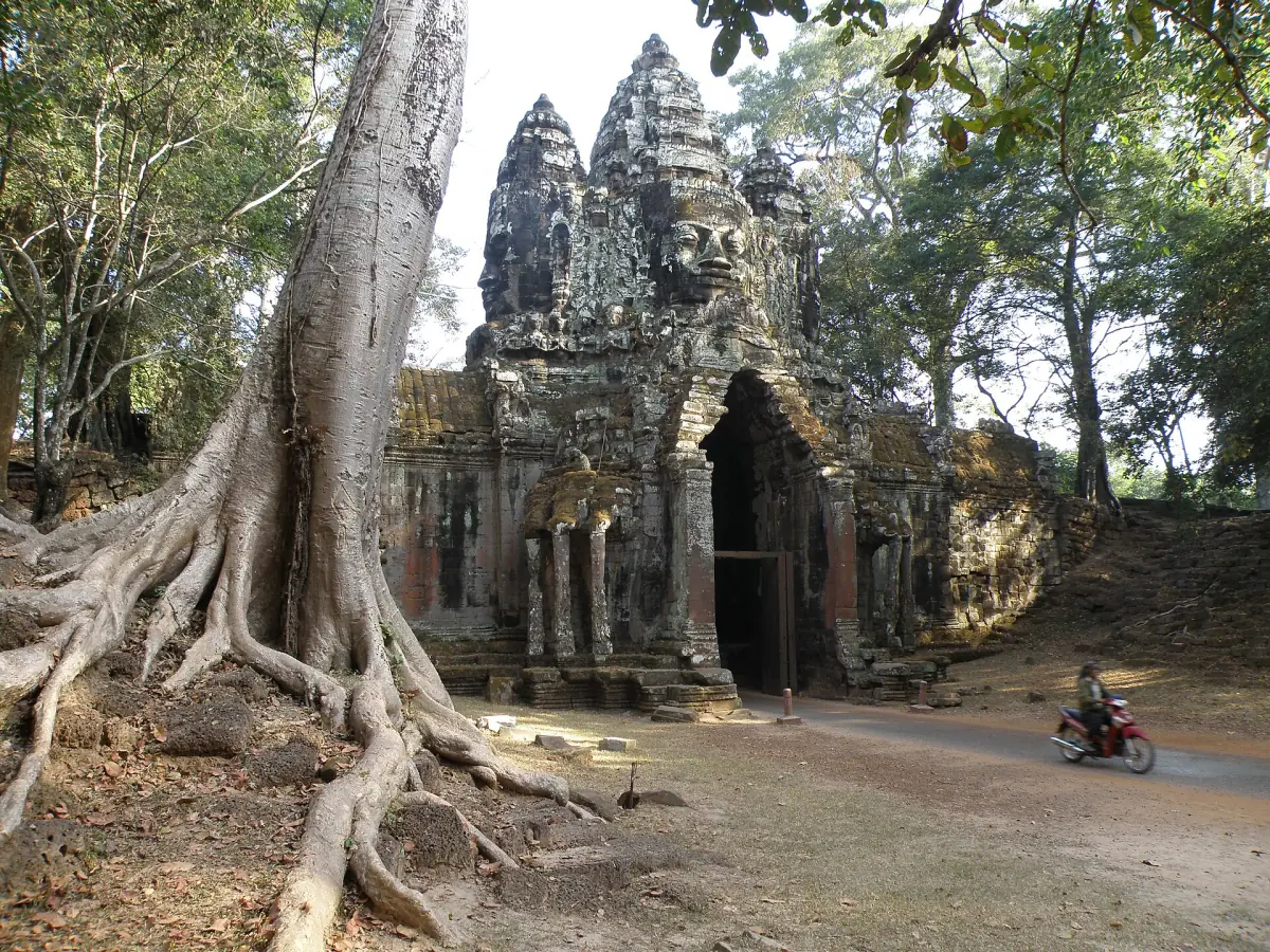 North gate of Angkor Thom beside a large tree with spreading roots